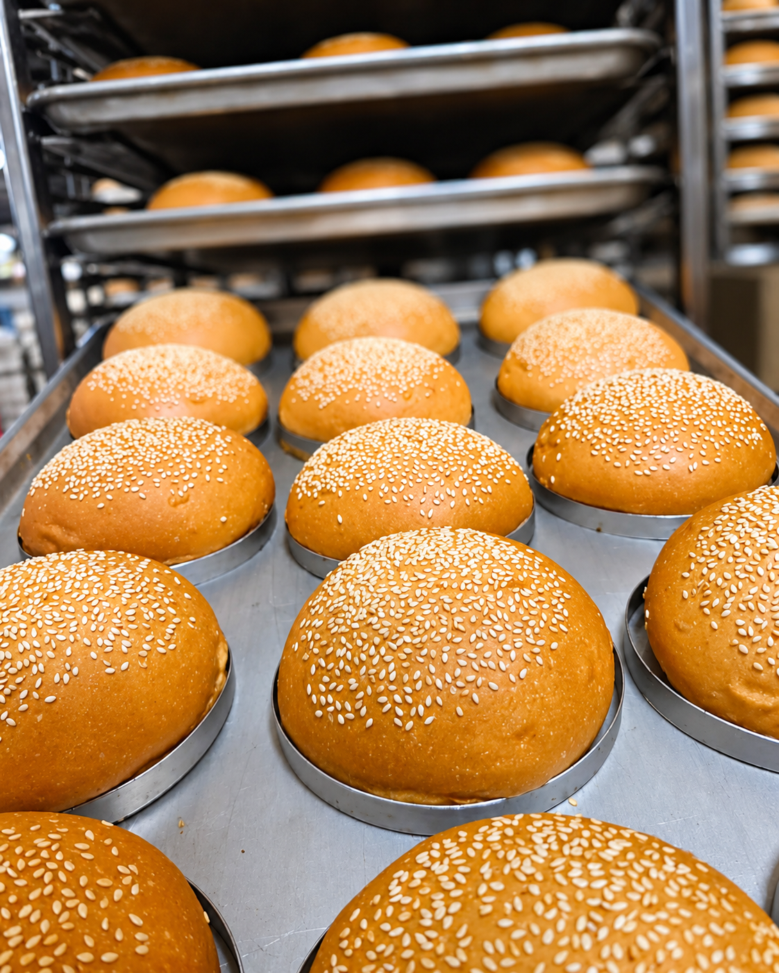 Burger Bun (Bulk)